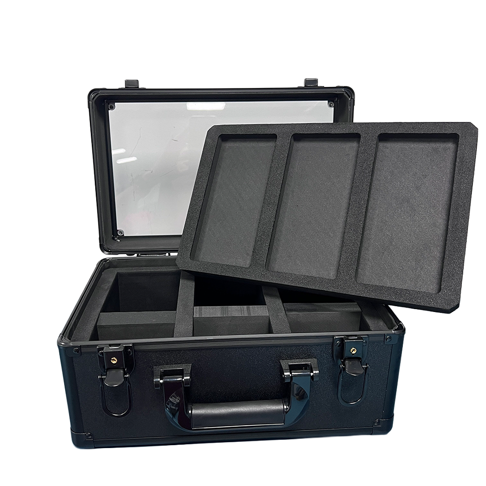 Geöffneter Collectible Protect Slab Case mit Schaumstoffeinlage